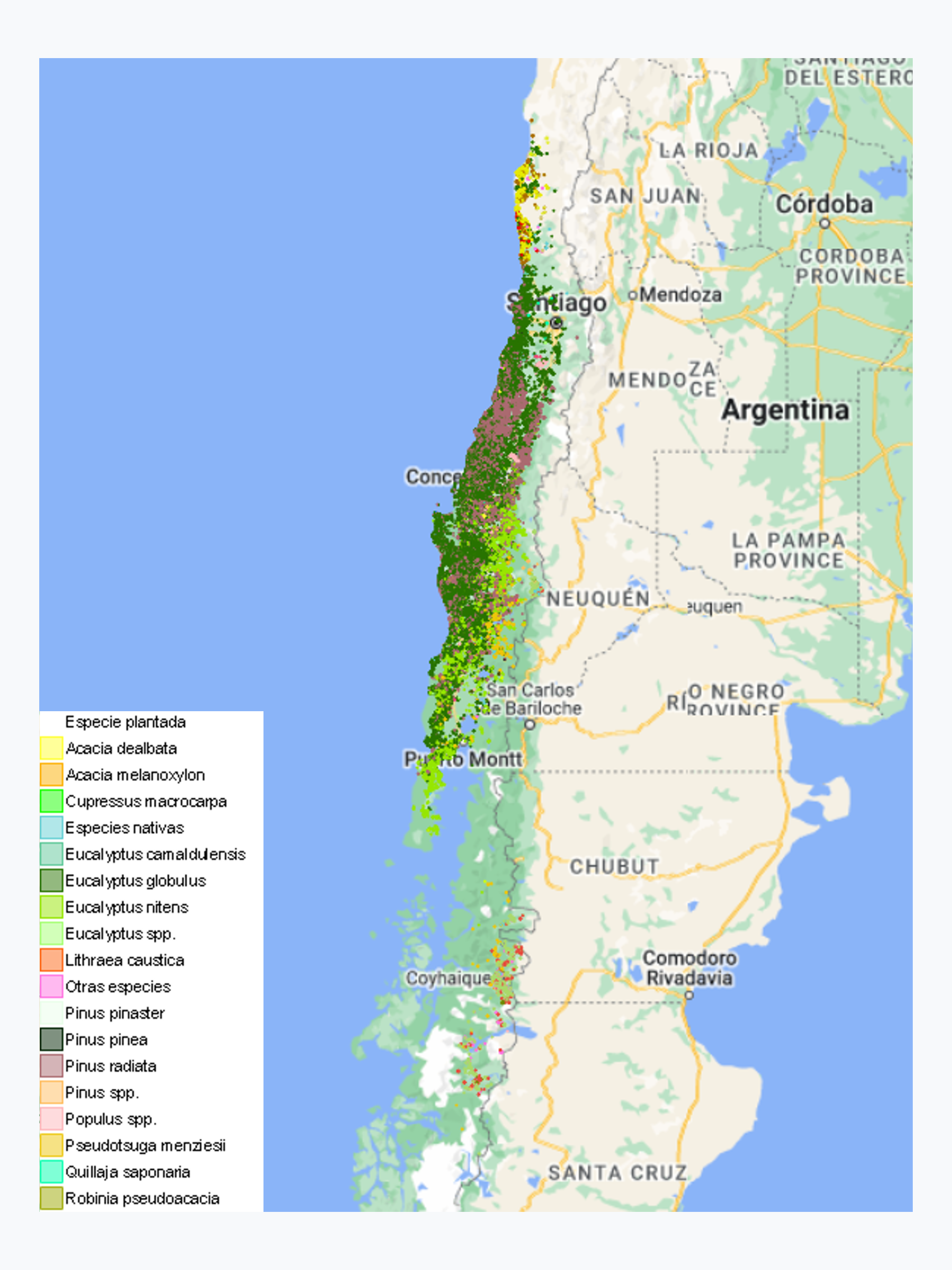 Plantaciones Forestales de Pequeños y Medianos Propietarios (PYMP) - 2020